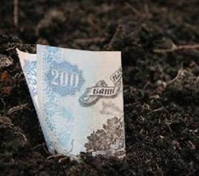 За год в границах городов и сел Крыма продали 25 участков 