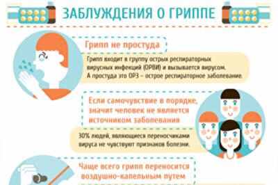 Грипп передается через рукопожатие – мифы и правда об ОРВИ 