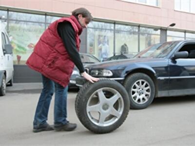Шипы по осени считают