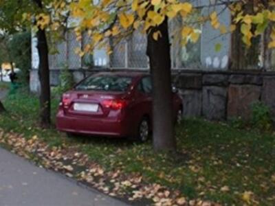 Киевсовет проверит парковки в зеленых зонах и автомойки