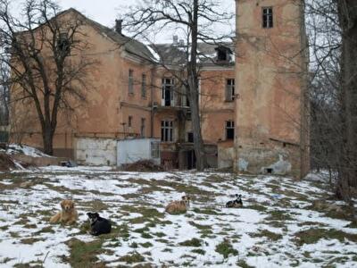 Суд отказался отобрать у Климова памятник архитектуры