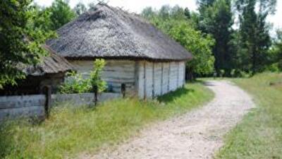 "Ничейная" земля в Украине. Кто и на каких основаниях ее использует