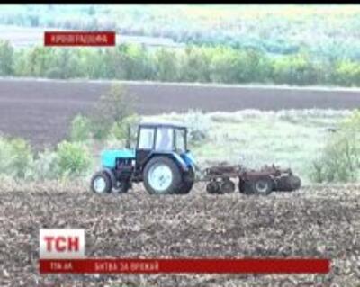 Обильные ливни "убили" урожай: на полях гниют подсолнухи, а фермеры барахтаются в грязи