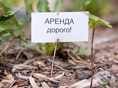 Учреждения культуры, образования, здравоохранения предлагает освободить от аренды за земучастки