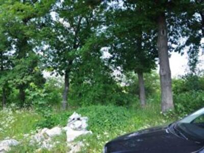 В Киеве ограничат раздачу бесплатных земельных участков