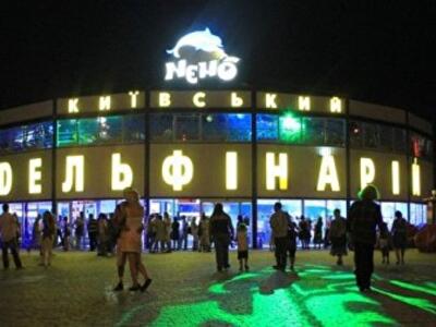 Завтра активисты будут пикетировать киевский дельфинарий