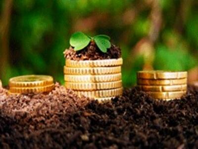 Земельный банк будет кредитовать аграриев под 8-12% годовых