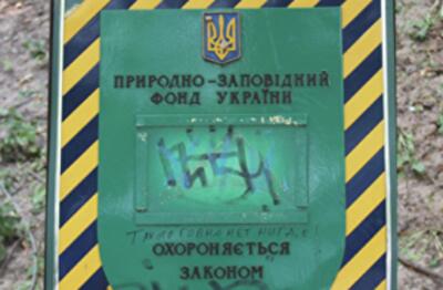 Вертодром Януковича расширяют без проекта