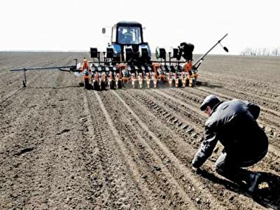 Житниця світу: чому Україна втрачає врожаї
