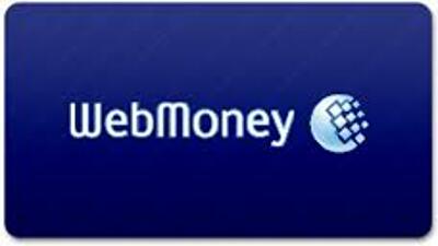 Что и кто стоит за проверками WebMoney
