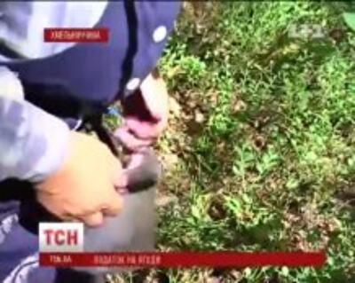 Украинцы возмущены введением налога на сбор ягод, грибов и орехов