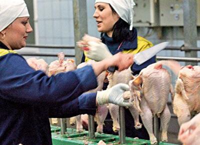 Украинские продукты не нужны в Европе 