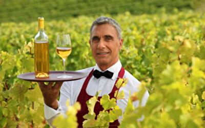 Надоело говорить и спорить? Так вот: De vino - veritas!