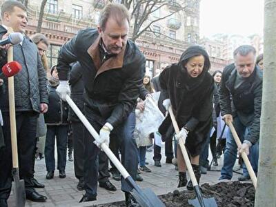 Белые каштаны, вестники подлога: куда подевались «элитные итальянцы»
