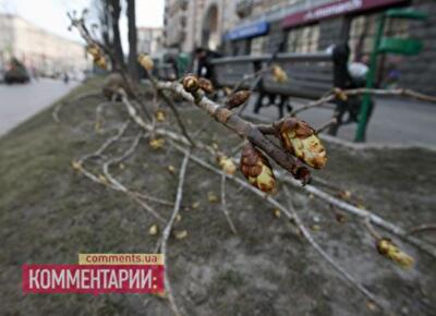 Каштановая экспертиза Попова оказалась пустышкой