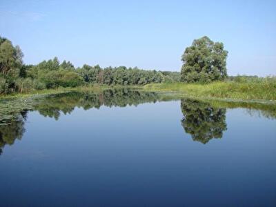 Оренда водойм