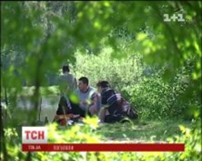 Украинцы во время майских праздников превращают леса в горы мусора