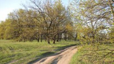 В Украине существенно потеплеет