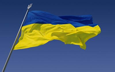 Украина в глазах мирового сообщества выглядит умной, но бедной