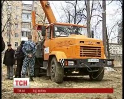 В Киеве старый сосновый парк вырубают под жилой комплекс