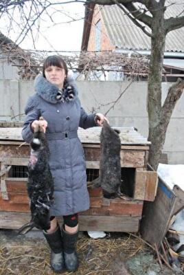 Новое нападение Чупакабры – существо прорвалась сквозь металл 
