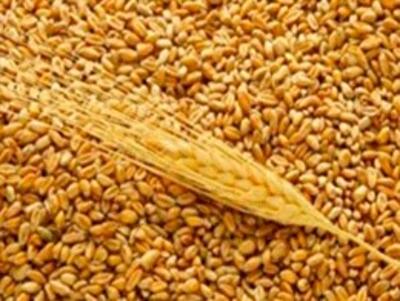 Какие продукты будут в дефиците из-за непогоды?