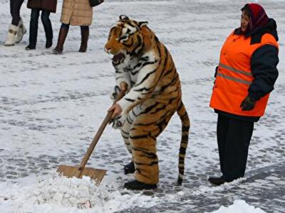 Снег, Попов и права собственности
