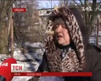 Под Киевом вырубают парк под застройку