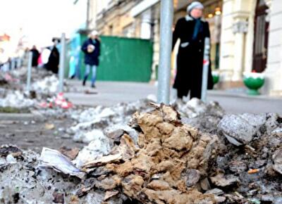 В центре Киева тротуары загромождают кучи мусора и фекалий. Фото