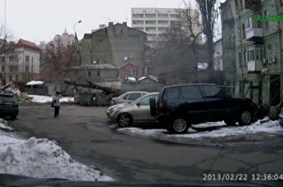 В Киеве ЖЭК равнодушно открещивается от падающих деревьев
