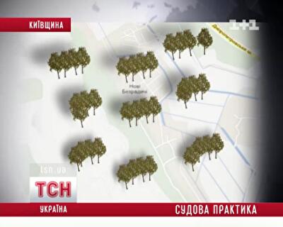 На Киевщине представитель Фемиды раздавал леса, но и дальше работает в суде