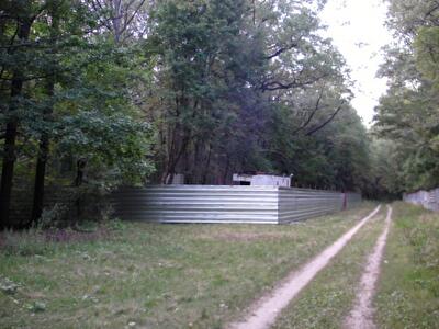 Активисты "Зеленого фронта" борются за остатки Лесопарка