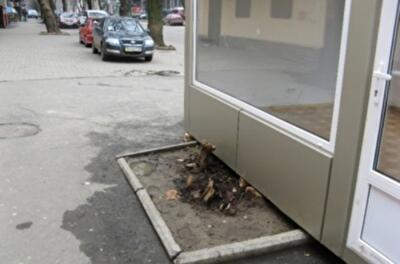В центре Одессы на месте дерева поставили киоск 