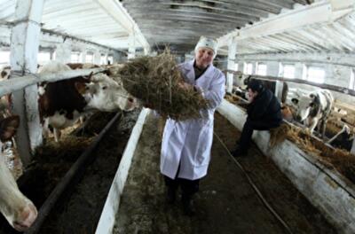 Украина спасет мир от продовольственного кризиса, но пока не может прокормить сама себя