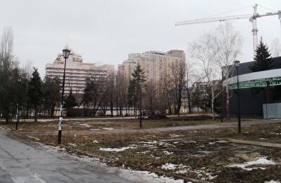 Уничтоженные на Генуэзской деревья оценили в 107 тысяч гривен