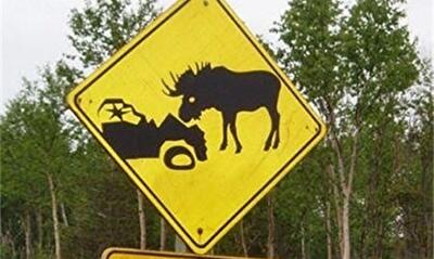 ТОП-10 страховых курьезов: реальные примеры из жизни украинцев