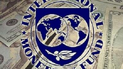 Власть хочет решать собственные проблемы с помощью МВФ