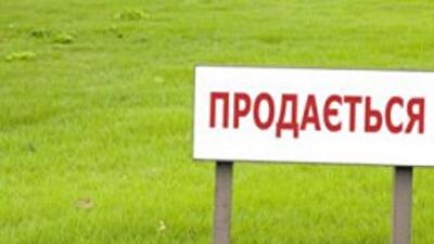 Аграрный министр планирует в этом году пустить оборот сельхозземли