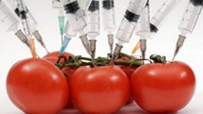 Украинцы уверены, что большинство продуктов питания сдержат ГМО
