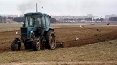 В Минфине уверены, что рост налога на землю не скажется на аграриях