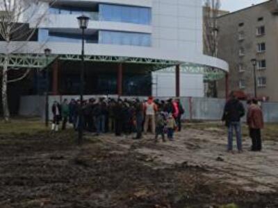 Мэрия требует возмещения ущерба за уничтожение деревьев в Одессе