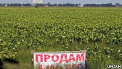 Украинская земля: запретить нельзя продать