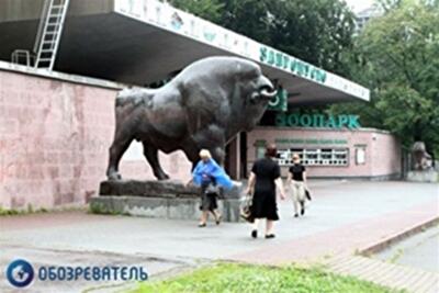 Голодные в зоопарке