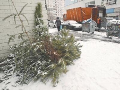 Киев будут обогревать новогодними елками