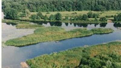Депардье может поселиться в Мордовии