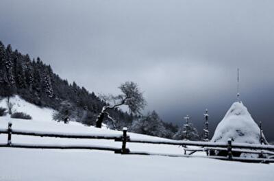 Мошенник сдал в аренду на Новый год несуществующий коттедж