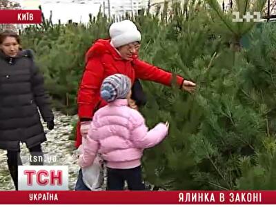 В Киеве предприимчивые торговцы подделывают чипы на елках