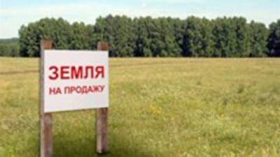 Права на земельные паи запрещено вносить в уставные фонды — до 1 января 2016 года