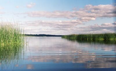 Одесский облсовет пытается передать в аренду побольше водоёмов