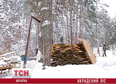 Неизвестные захватили шесть гектаров леса в Конча-Заспе